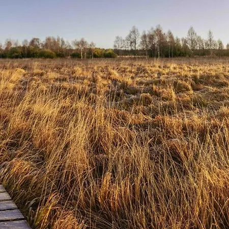 Les Tourbieres Casa de hóspedes